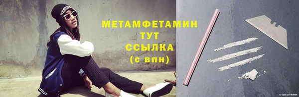 прущие грибы Вязники