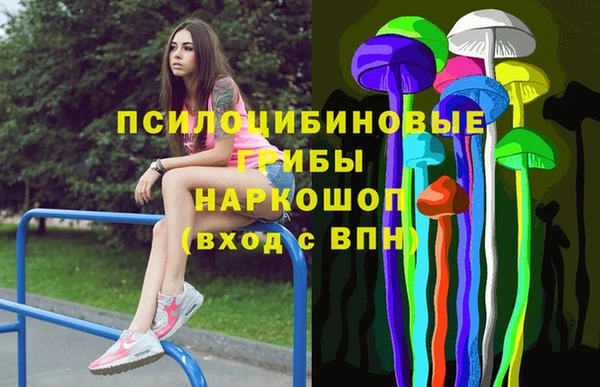 прущие грибы Вязники