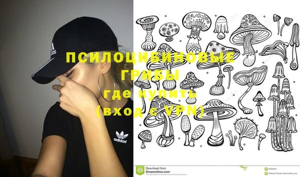 mix Вяземский