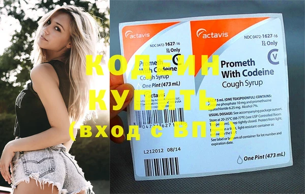 прущие грибы Вязники