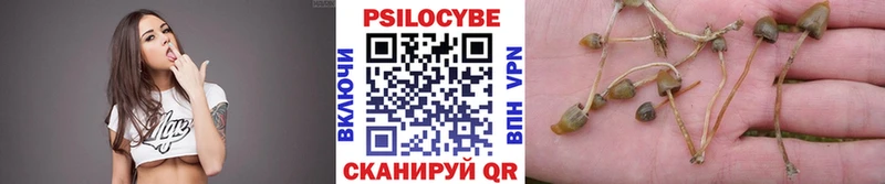 Псилоцибиновые грибы мухоморы что такое Кисловодск